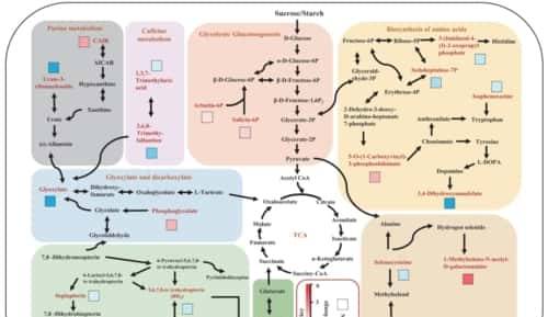 过量表达TaSAP12-D基因,在改良作物的耐盐性上,有哪些重大作用