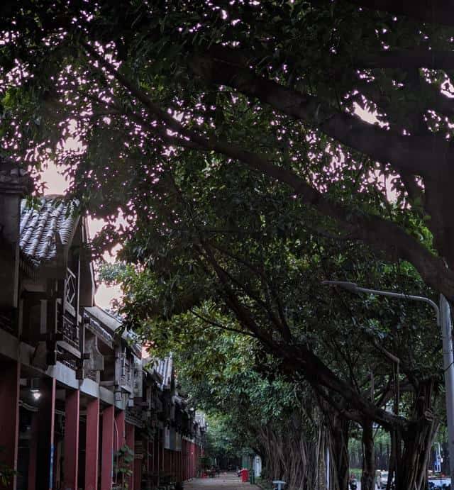 连当地人都吐槽“六无”的邕州老街，建成十余年就彻底凉凉了？