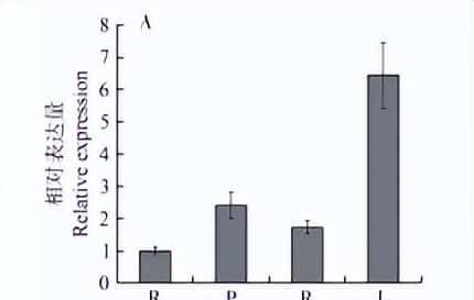 过量表达TaSAP12-D基因,在改良作物的耐盐性上,有哪些重大作用