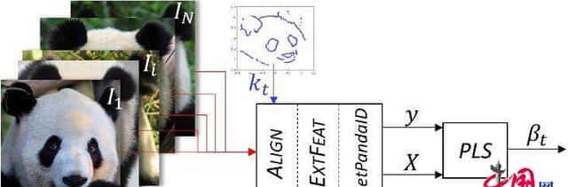 大熊猫“认脸”神器来了  一扫即可喊出它的名字