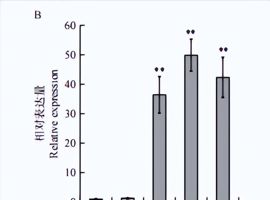 过量表达TaSAP12-D基因,在改良作物的耐盐性上,有哪些重大作用