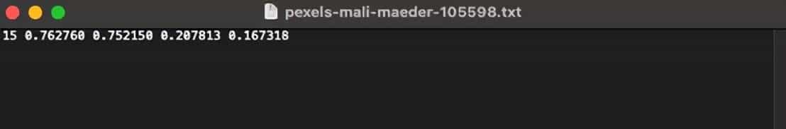 使用Python和YOLO检测车牌