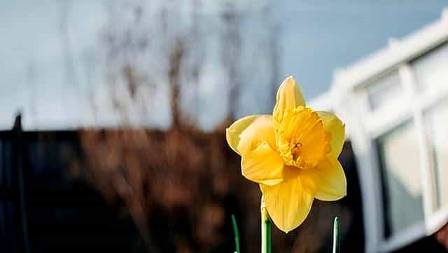 如果你想离婚，我劝你先忍一下，做完4件事再说