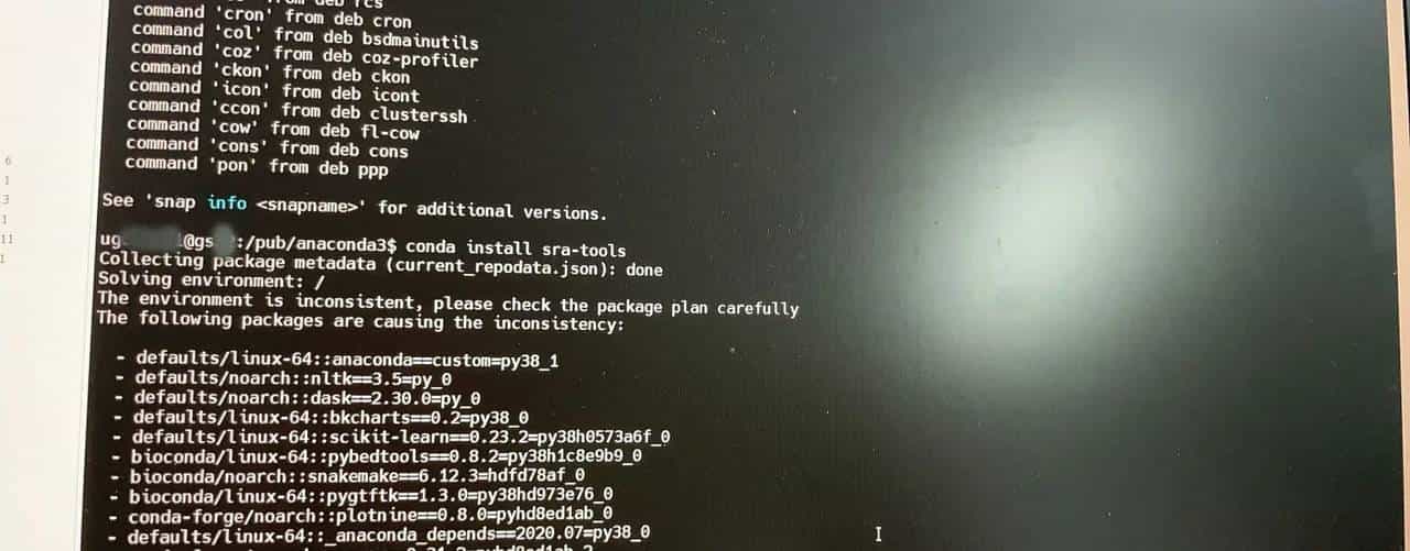 通过测试了解conda | 不进入conda具体的环境，你能使用哪些conda命令？
