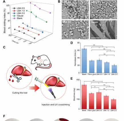 西安交大徐峰《AFM》:液体绷带!具有强劲组织粘合力、出色的止血、抗菌性能