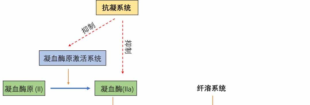 PT、APTT、TT 有什么区别?临床怎么用?