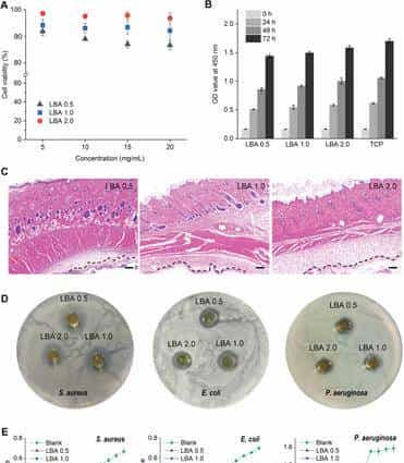 西安交大徐峰《AFM》:液体绷带!具有强劲组织粘合力、出色的止血、抗菌性能