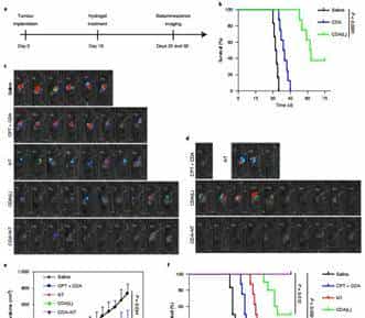 约翰霍普金斯大学崔宏刚《Nature》子刊:包含STING和CPT的原位自组装水凝胶实现100%抑制肿瘤生长