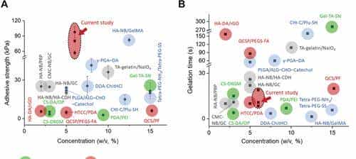 西安交大徐峰《AFM》:液体绷带!具有强劲组织粘合力、出色的止血、抗菌性能