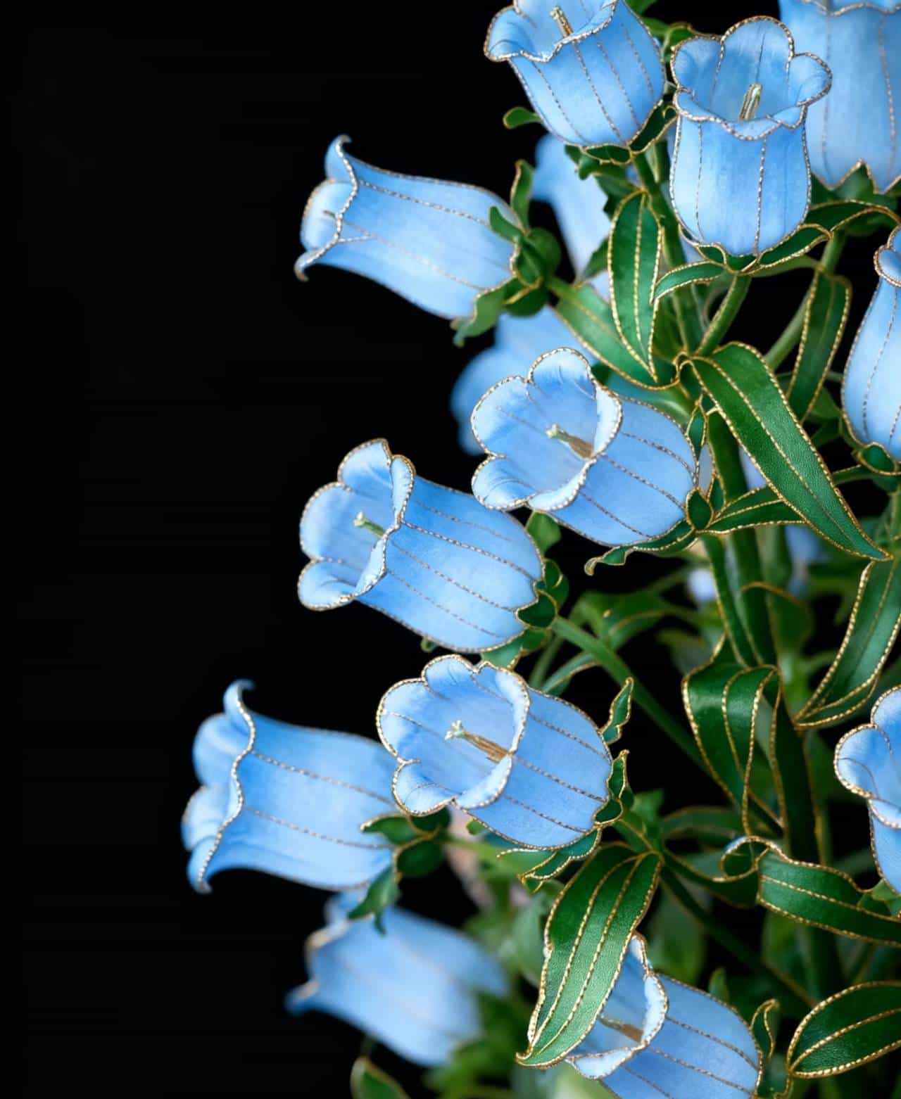 易经的数学原理是什么?