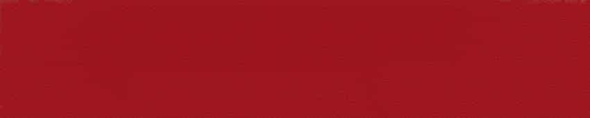 AI工具上新！玻尔科学导航上线南昌大学