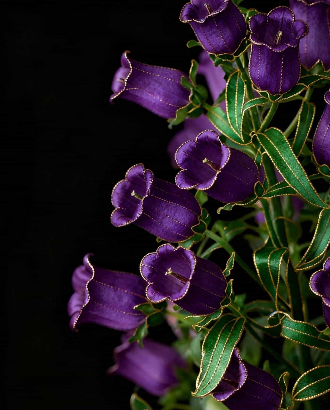 易经的数学原理是什么?