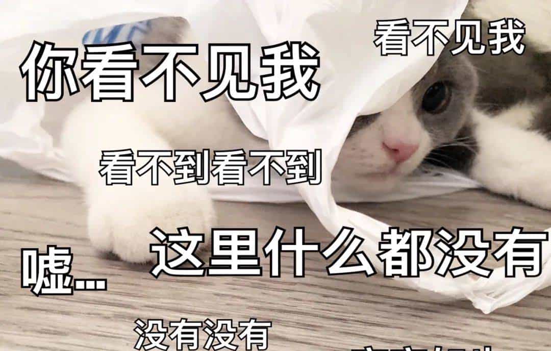 如何成为居家钻石鉴定师