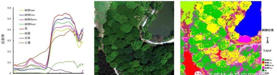 高光谱遥感如何在森林中实现精准培育？