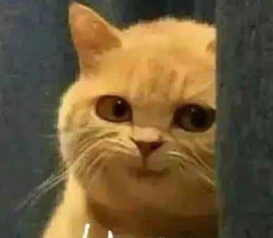 如何成为居家钻石鉴定师