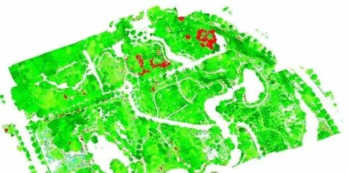 高光谱遥感如何在森林中实现精准培育？