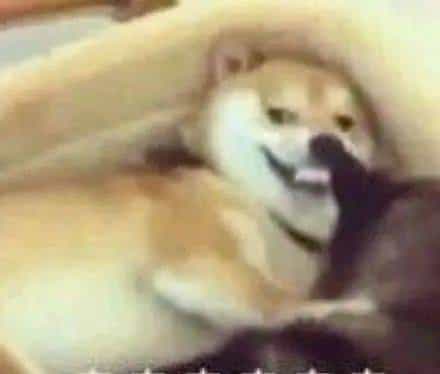 如何成为居家钻石鉴定师