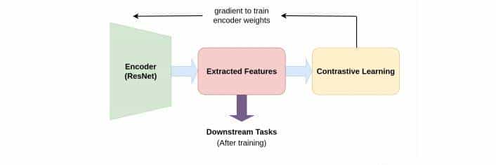 对比方法自监督学习综述