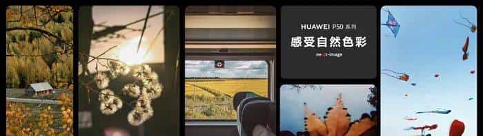 2023影像行业八大现状解析：微单崛起，单反渐退