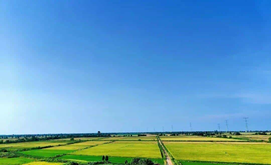 我国的四大盆地、四大高原、三大平原，你知道几个呢？