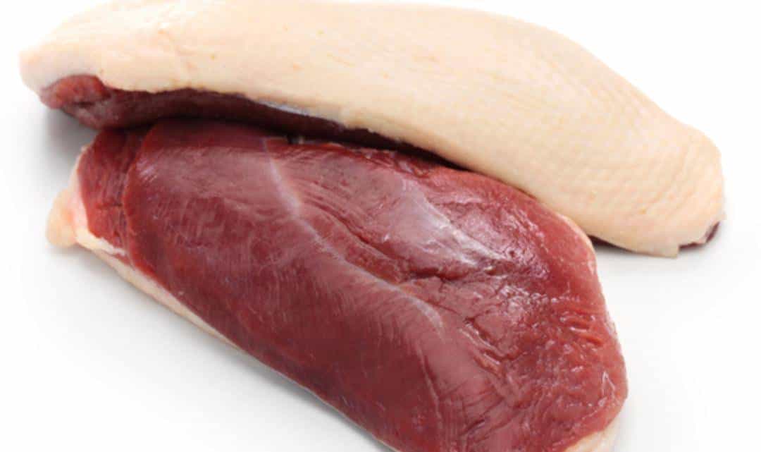 跨过山和大海，耐力谁最哇塞？