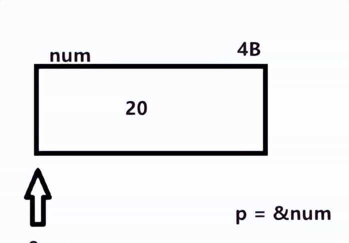 C语言基础之指针