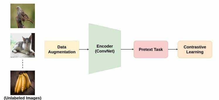 对比方法自监督学习综述