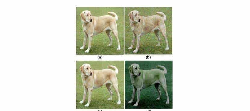 对比方法自监督学习综述