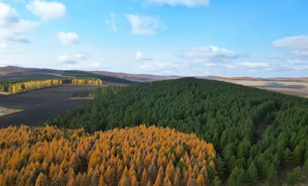 我国的四大盆地、四大高原、三大平原，你知道几个呢？