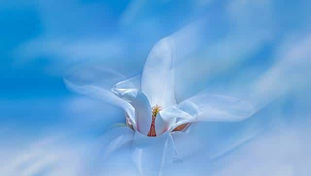 破解“朴实语言”赏析难题：从文字表面，读懂情感深处