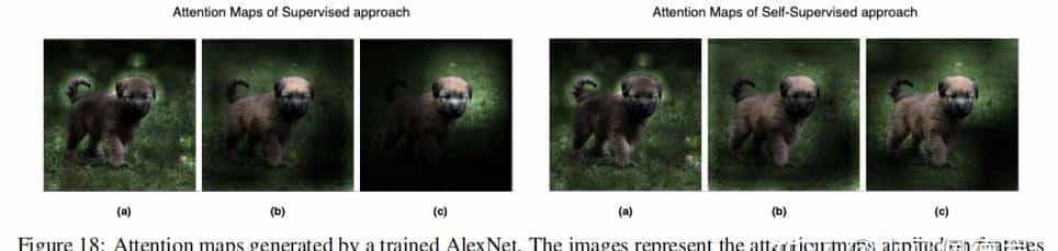 对比方法自监督学习综述