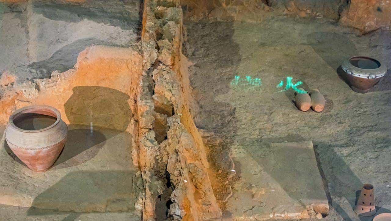 我是福州人，去了郑州大河村国家考古遗址公园，后悔没早去