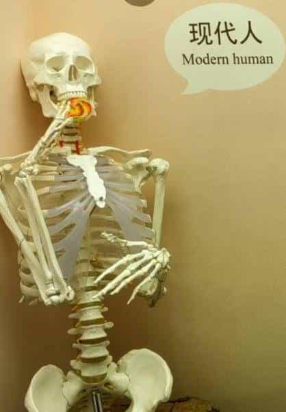 跨过山和大海，耐力谁最哇塞？