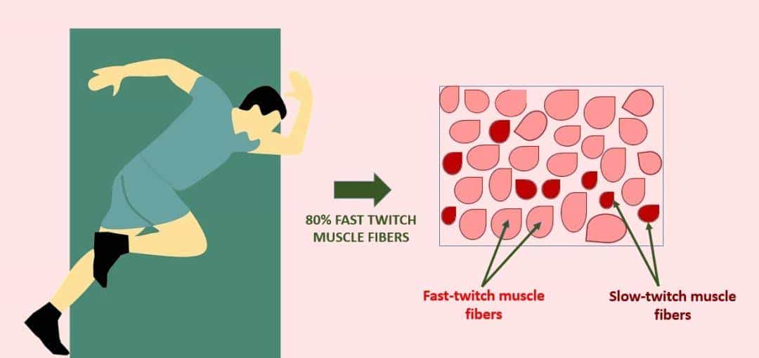 跨过山和大海，耐力谁最哇塞？