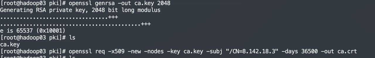 制作自签名CA根证书并颁发应用证书