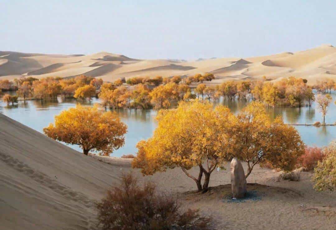 我国的四大盆地、四大高原、三大平原，你知道几个呢？