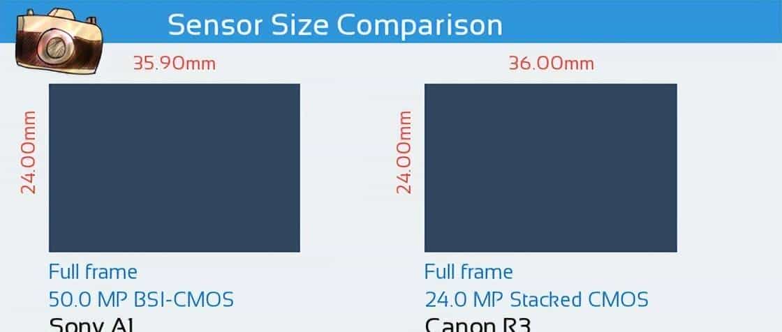 佳能 EOS R3 VS索尼 A1对比来啦，神仙打架，针尖对麦芒，该怎么选？