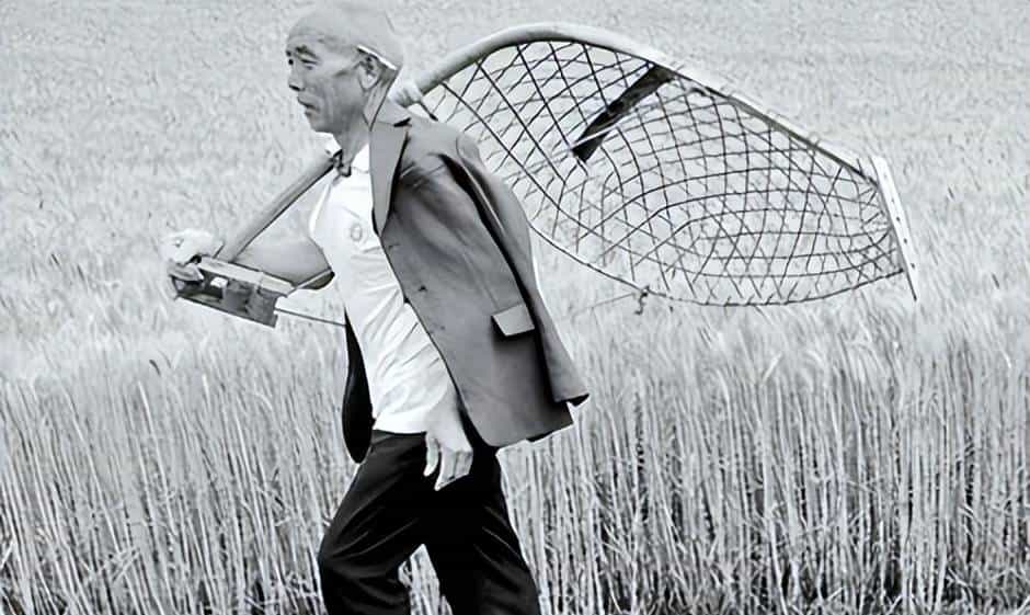 充满年代感的供销社老物件，认识五个算你厉害，全认识至少 70 岁！