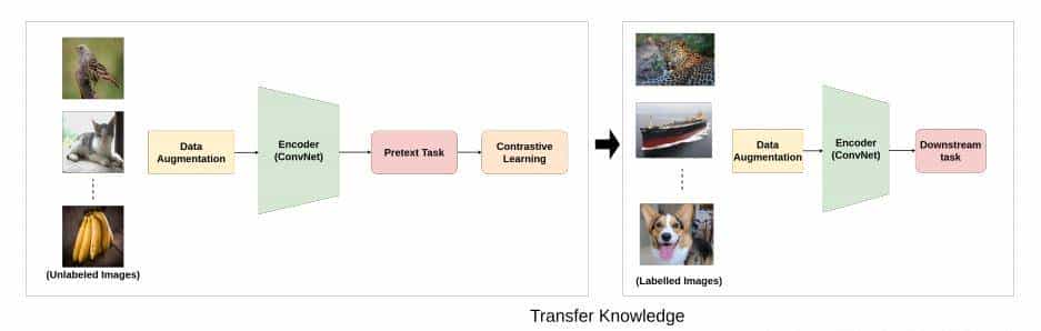 对比方法自监督学习综述