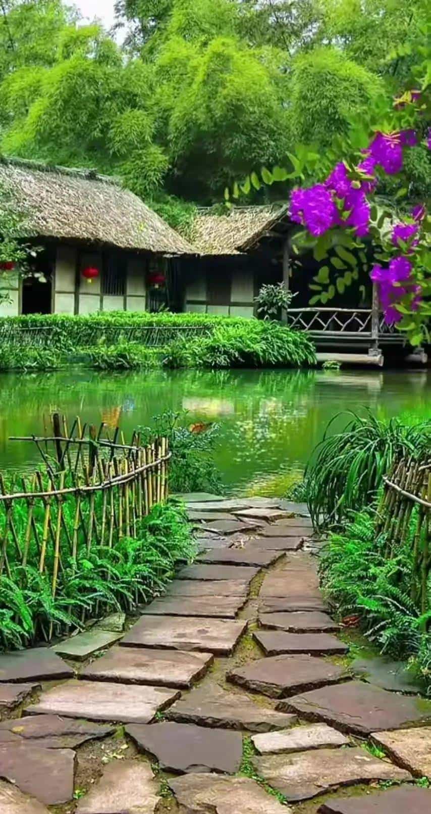 12 Oct 英语每日一句