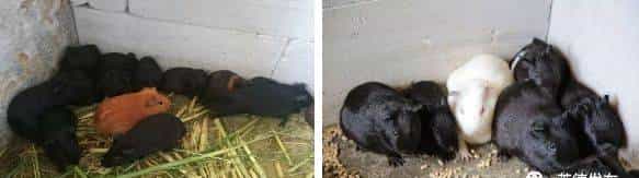 牢记嘱托丨英德如何学习贯彻习总书记视察广东重大讲话精神?市委书记吴耿淡对媒体这样说……