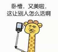 这套表情有毒，聊天必备（大学那些事）