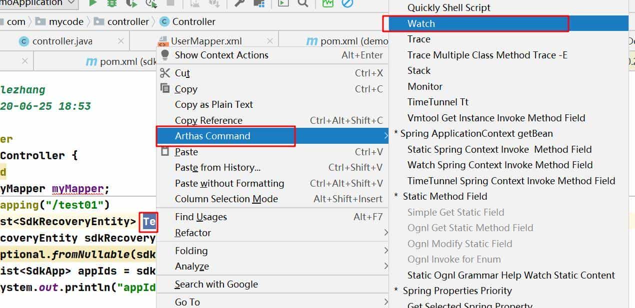 使用arthas实时追踪docker容器上部署的Java程序的方法出入参