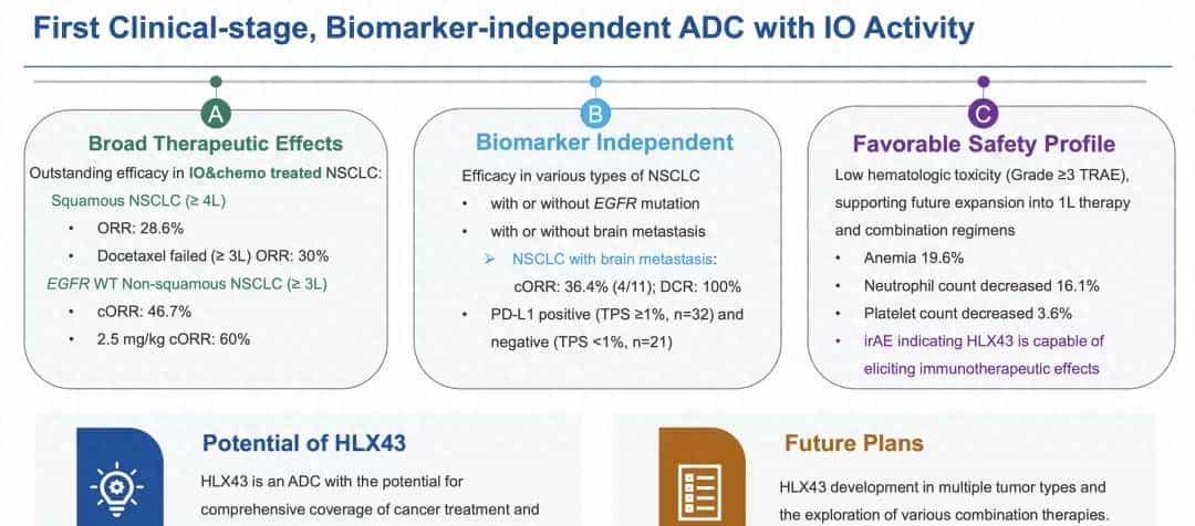 最强广谱ADC登场