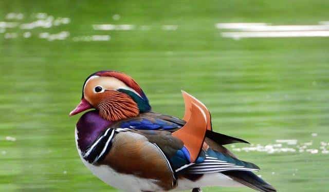 实则，当男人不在乎你时，机智的你只需做好这一点！