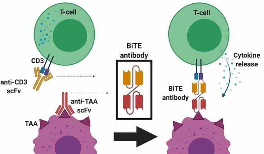 肺癌「双王组合」T药获批上市，超70%患者受益，免疫耐药也有效！