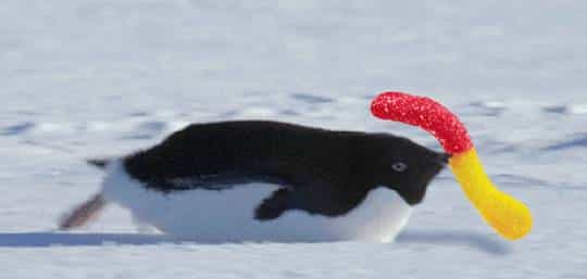 教你用 Python 爬取 Baidu 文库全格式文档