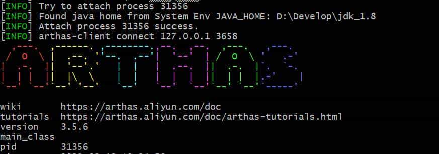 使用arthas实时追踪docker容器上部署的Java程序的方法出入参