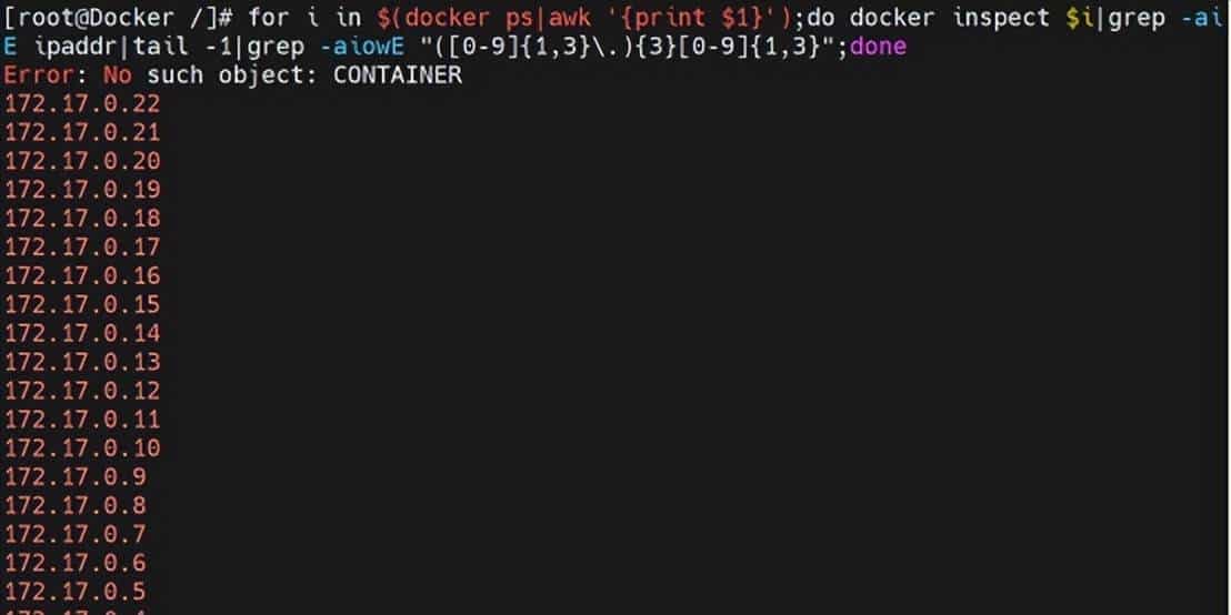 Docker部署OpenEuler系统