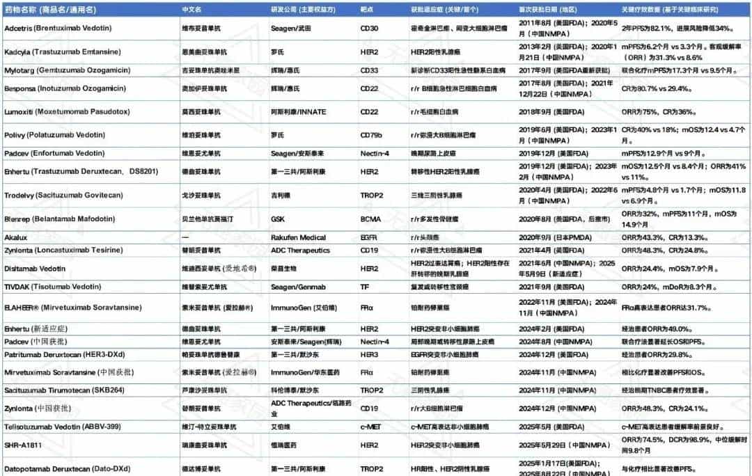 实现无瘤奇迹！多款ADC药精准爆破肿瘤细胞，改写6大癌种生存结局